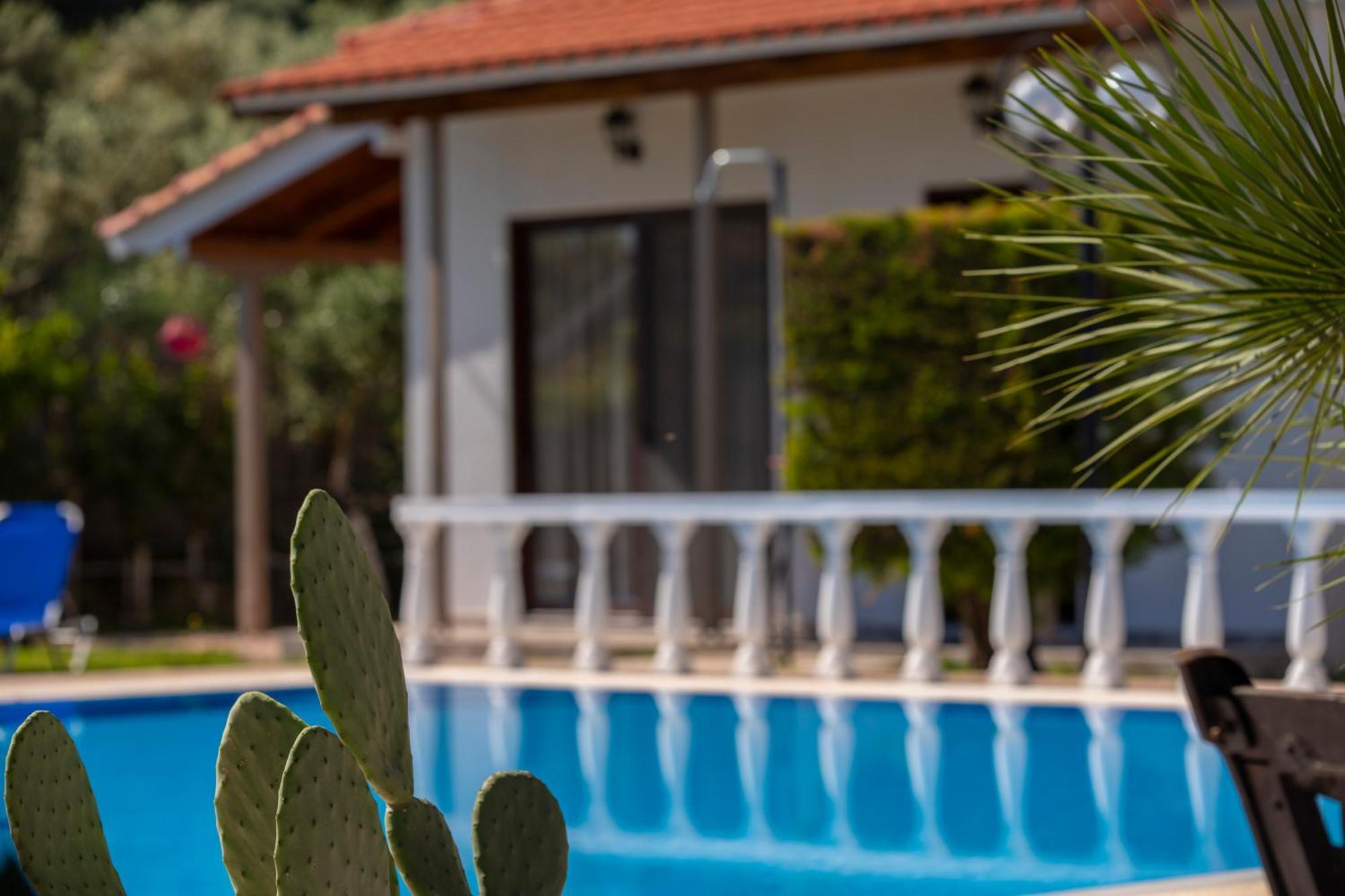 Villa Dimitris Apartments & Bungalows Frinion Bagian luar foto